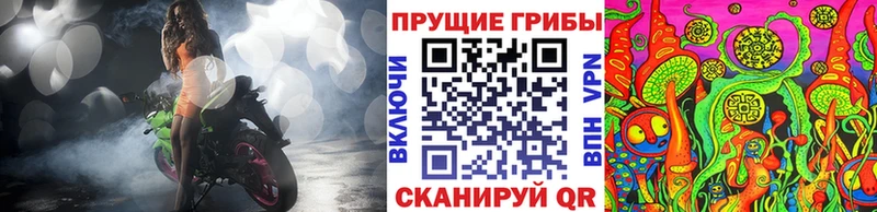 Купить закладки  Воронеж  Галлюциногенные грибы мухоморы 